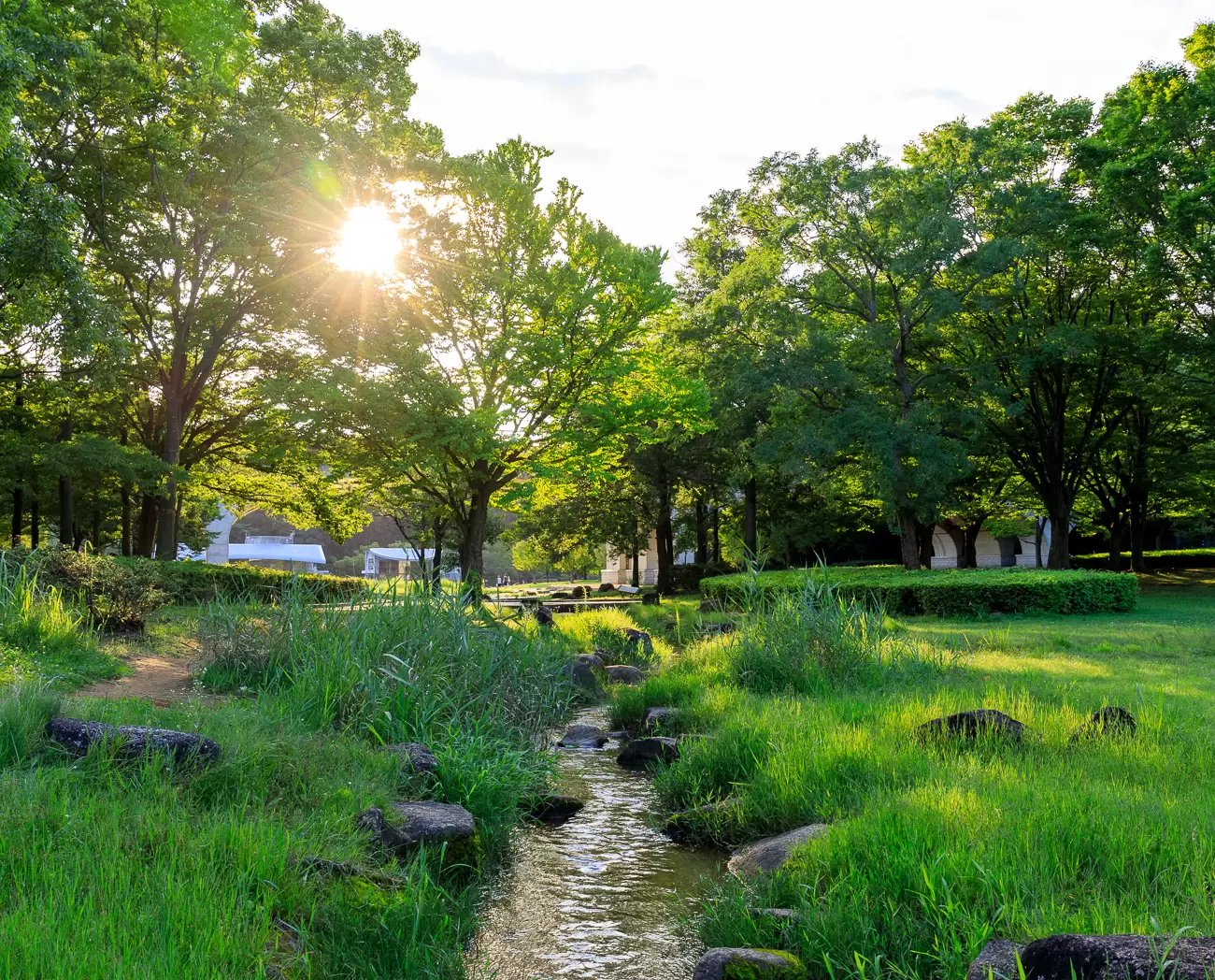 🌳 21세기의 숲과 광장 (니주잇세이키노모리토히로바) 이미지 1
